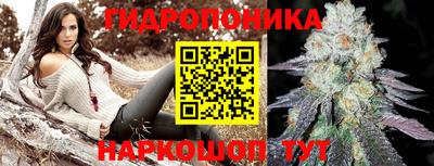 ПСИЛОЦИБИНОВЫЕ ГРИБЫ Бердск