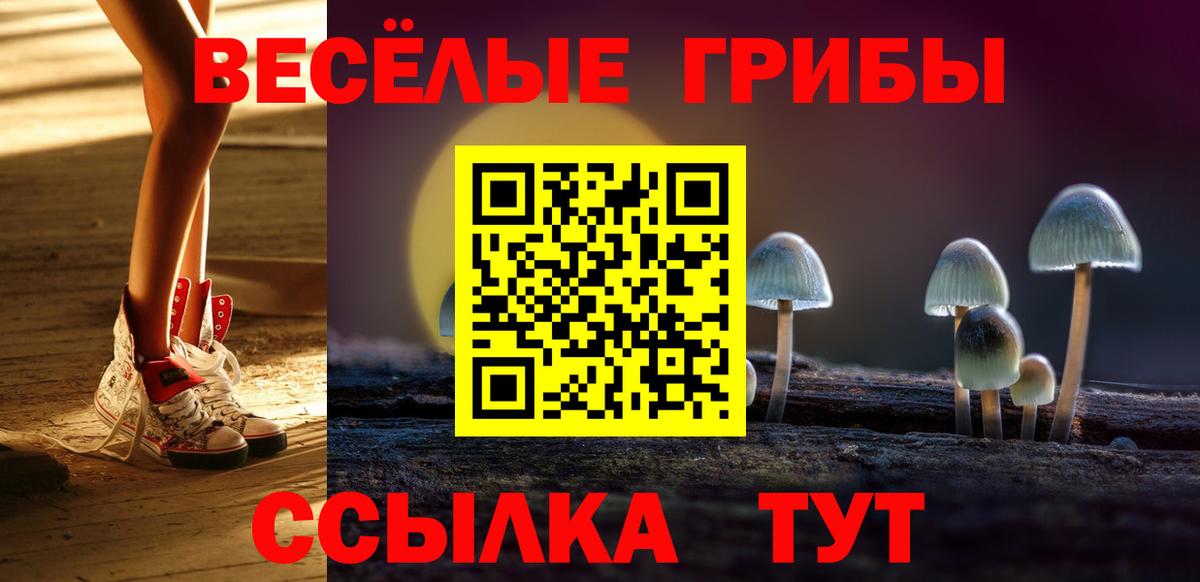 Псилоцибиновые грибы GOLDEN TEACHER Вязьма